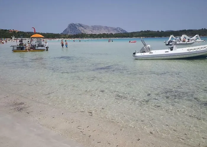 Valevalehome - Gallery With Fully Equipped Kitchen, Reserved Parking, Big Garden Appartamento *