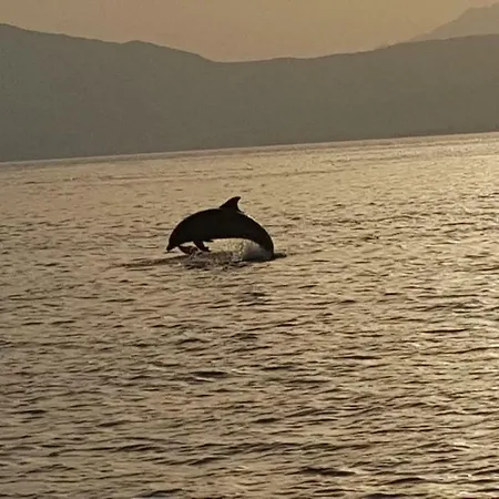 Valevalehome - Gallery With Fully Equipped Kitchen, Reserved Parking, Big Garden