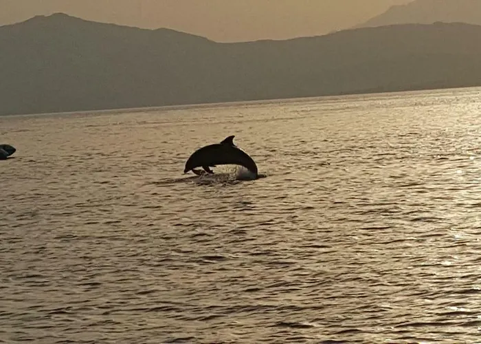 Valevalehome - Gallery With Fully Equipped Kitchen, Reserved Parking, Big Garden